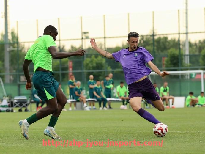 jiuyou九游娱乐-英超球队队徽设计赏析