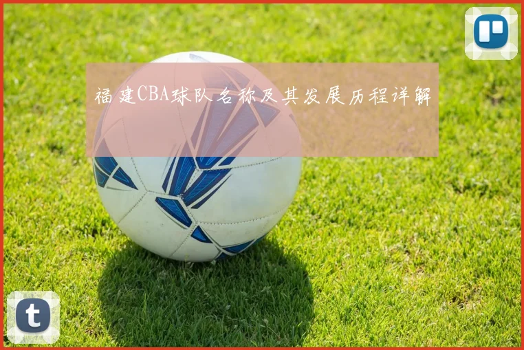 福建CBA球队名称及其发展历程详解