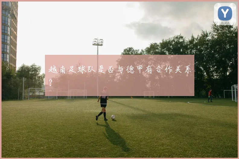 越南足球队是否与德甲有合作关系？