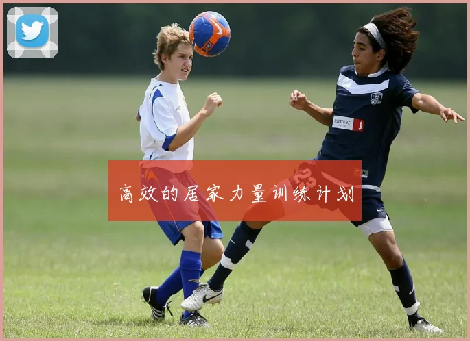 高效的居家力量训练计划
